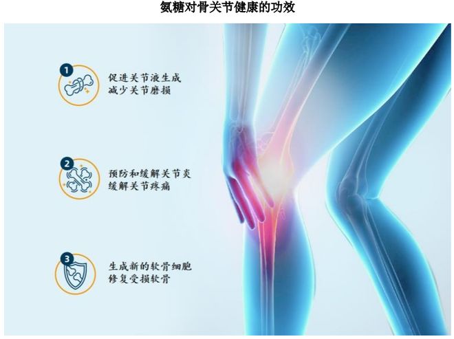 扎根运动健康赛道凭多元布局赢长远未来OG