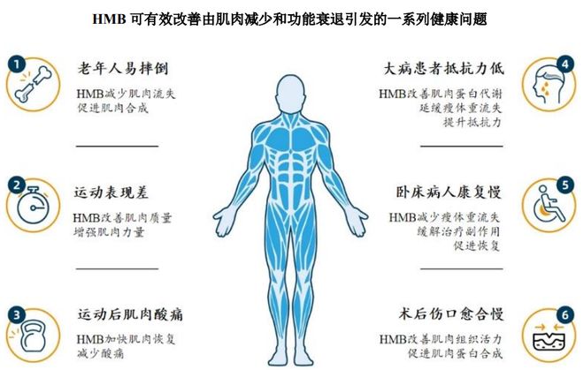 扎根运动健康赛道凭多元布局赢长远未来OG真人平台HMB全球龙头技源集团：(图4)